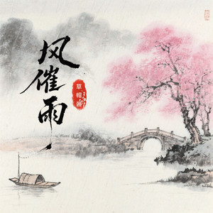 风催雨2025 (DJ阿泽版)