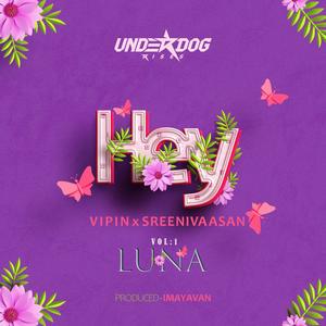 Luna | Vipin W (feat. Sreenivaasan G)