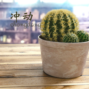 冲动