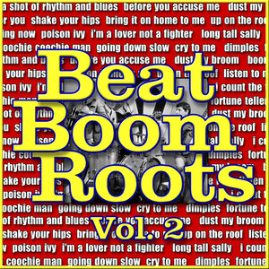 Beat Boom Roots, Vol. 2