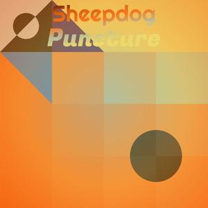 Sheepdog Puncture