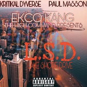 LSD(feat. Kritikal Dyverse & Paul Masson) (Explicit)