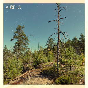 Aurelia