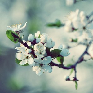 天涯孤旅为梦想