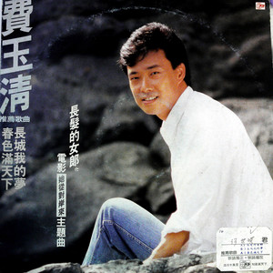 雪满山 浪满江 (黑胶版) - 费玉清封面