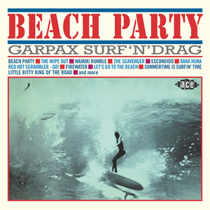 Surfer's Memories