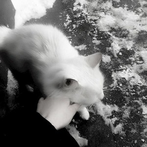 chưa kịp nói lời yêu em