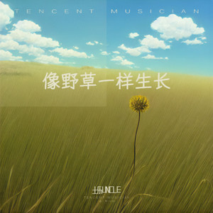 像野草一样生长