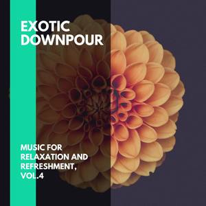 Exotic Downpour - Music for Relaxation and Refreshment, Vol.4