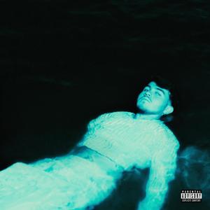 VETEMENTS BOMBER (Explicit)