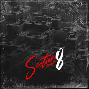 Section 8 (Explicit)