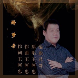 醉梦寻