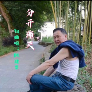 分开那天