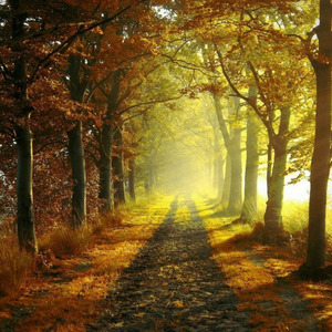 平城忆（九九编曲作品）