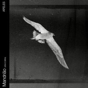 Mandrião (Vida e Obra) (Demo 2)