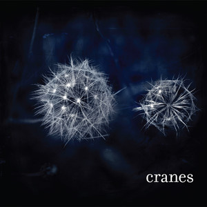 Cranes