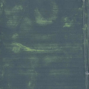 dead in a field (feat. ji) (Explicit)