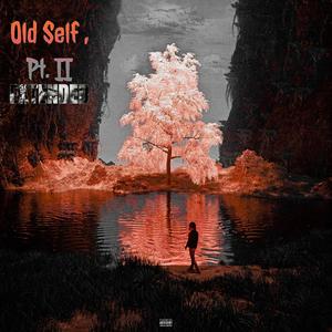 Old Self, Pt. II (Deluxe) [Explicit]