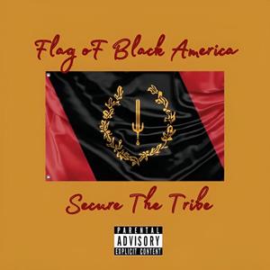 Flag Of Black America (feat. Md0t & King Cell) (Explicit)