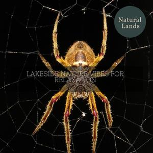 Party Birds Feasting