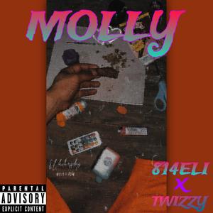 MOLLY (feat. Twizzy) [Explicit]