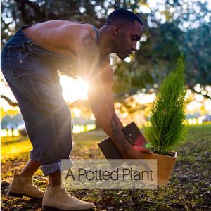 Diary of a Potted Plant (Explicit)