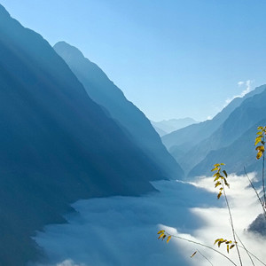 莫白.扎克 - 锦屏镇 (Live)