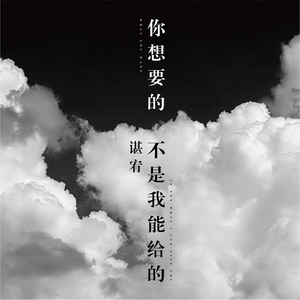 你想要的不是我能给的封面
