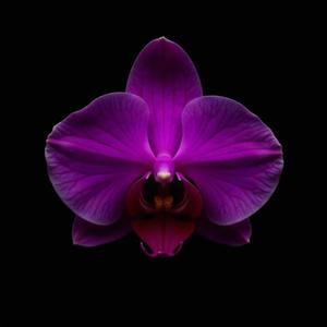 Tight & Tasty (Explicit)