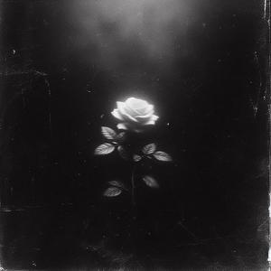 Swang (Bass Version|Explicit)