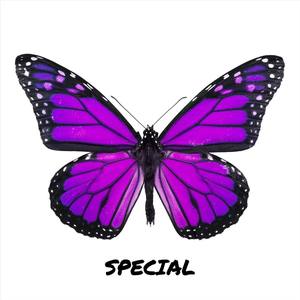 Special