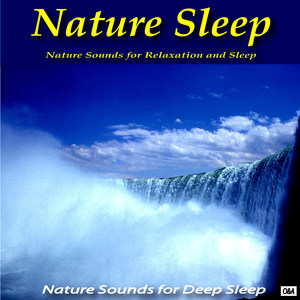 Nature Sleep