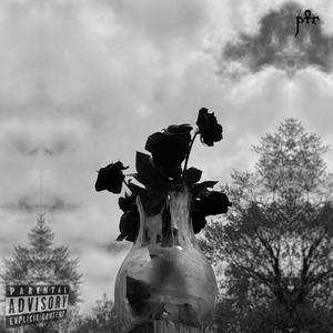 I Don't Think I Can Handle This Anymore (feat. kreger) (Explicit)