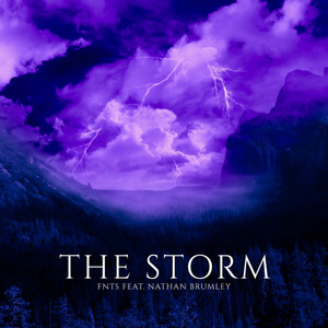 The Storm (feat. Nathan Brumley)