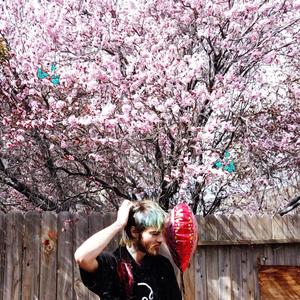 Project 9(a song about a girl) (Explicit)