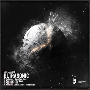 Ultrasonics