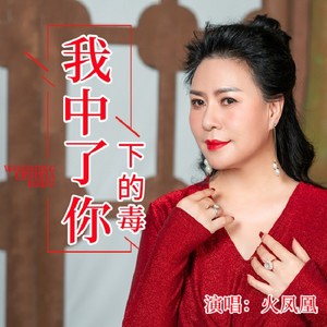 我中了你下的毒