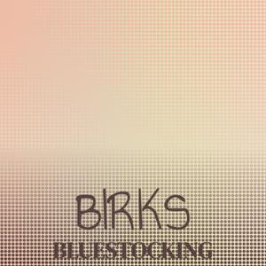 Birks Bluestocking