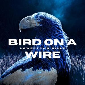 Bird On A Wire (feat. Lowertown Billz & Osa) (Explicit)