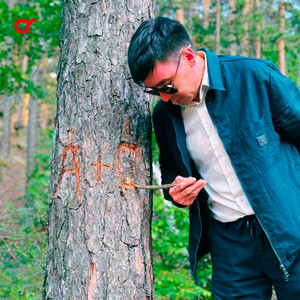 Ағаштың өміріне қызығамын