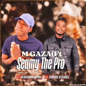 NI LAVA KU TSHAMA NA WENA (feat. M Gaza)