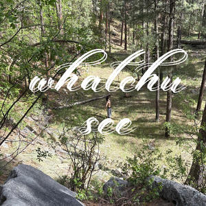 Whatcha see (Explicit)