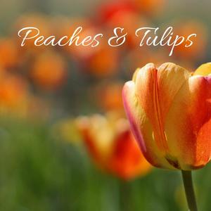 Peaches and Tulips