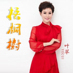 梧桐树封面