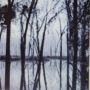 Left in the mud. (feat. SGENGU) (Explicit)