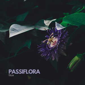 Passiflora