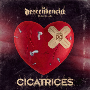 Cicatrices