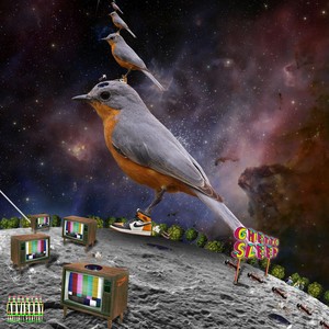 OCEANVIEW(Feat. Rapideal, Hitmo'17)