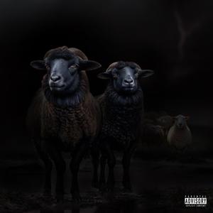 Cause & Effect (feat. Emi Ramirez) (Explicit)