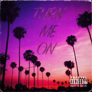 Turn Me On (Slowed) (Explicit)